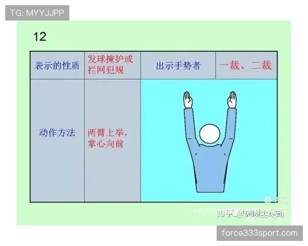 裁判报告中的关键判罚内容及规则解读解析