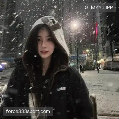 司达蕾